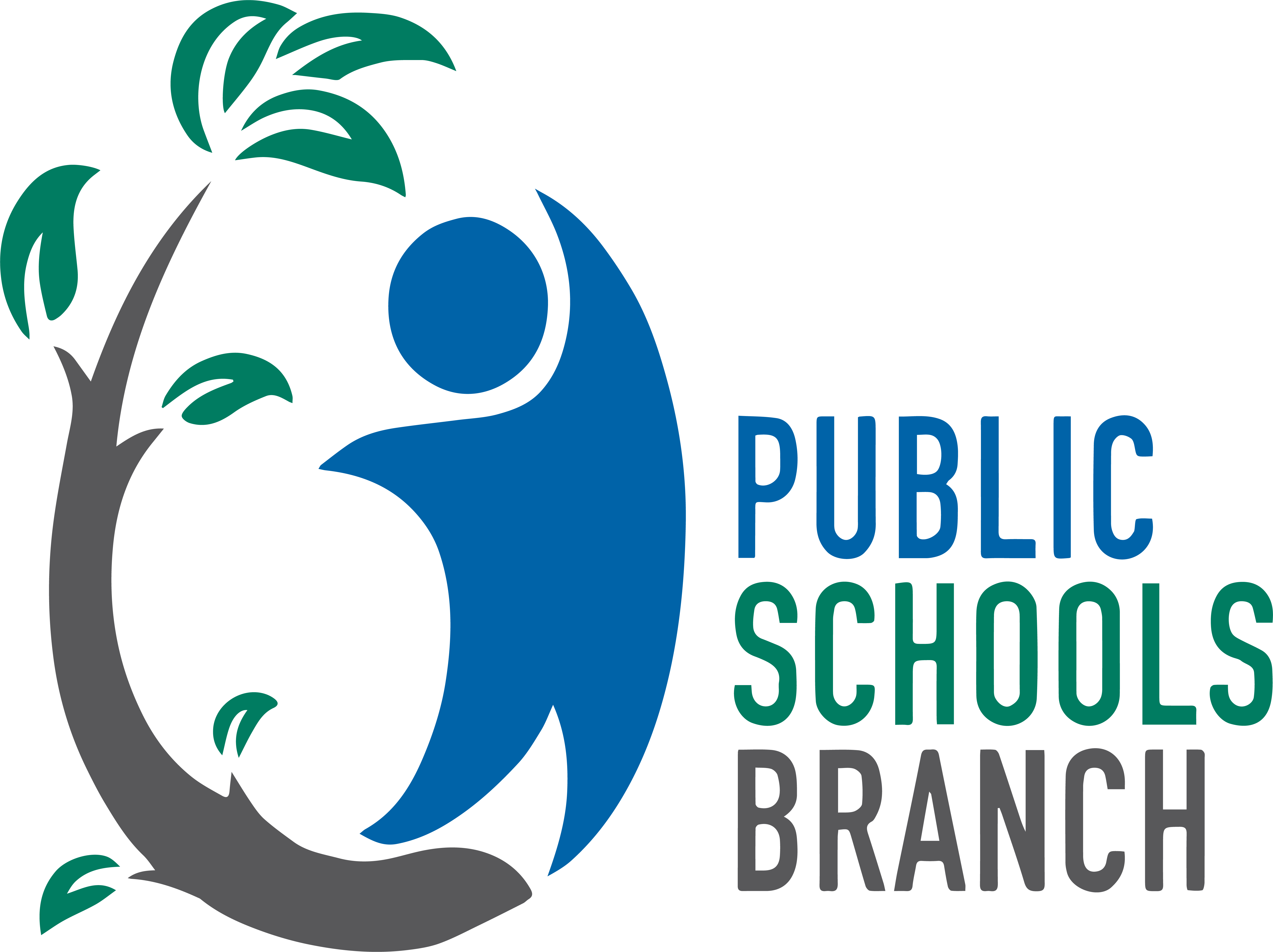 public schools branch-logo-sqaure-new-rbg-colour